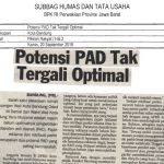 Potensi PAD